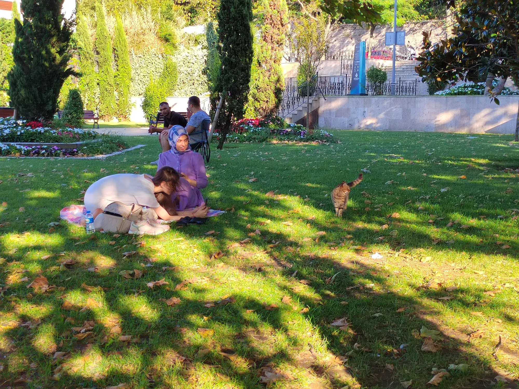 Местные тоже любят фоткать котиков. Фото Дарины Устич