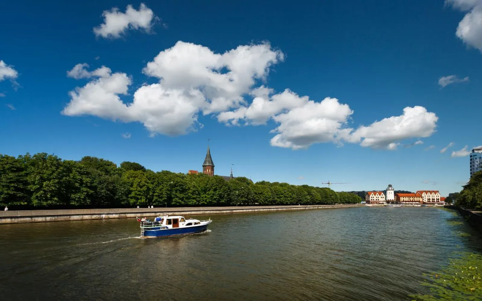 Калининград в мае — куда сходить весной
