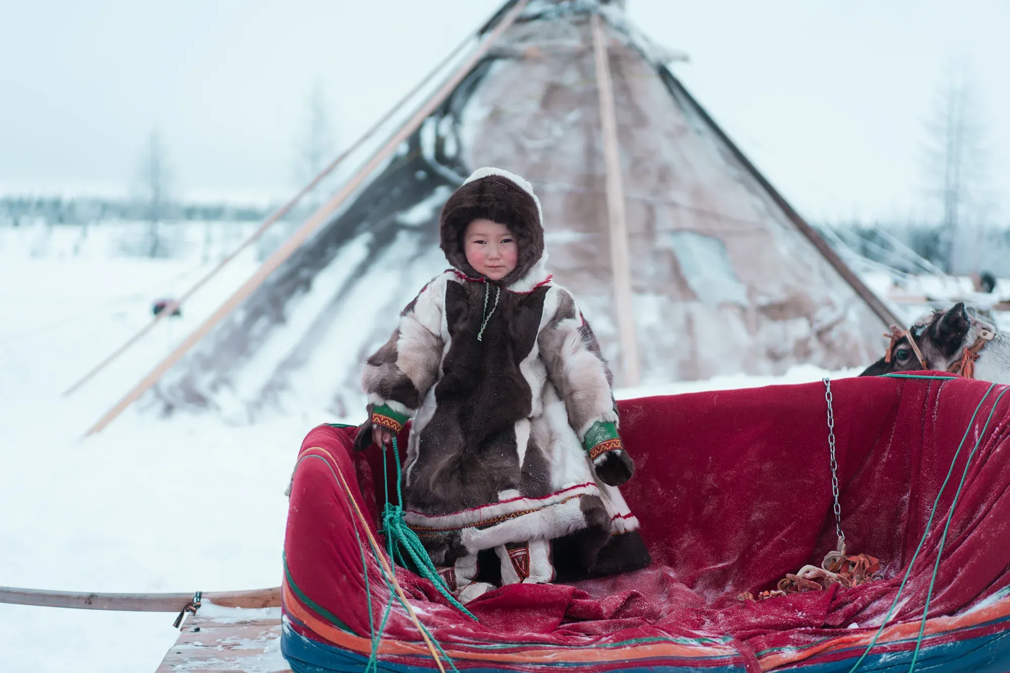 Ребёнок в нартах / Александр Мазуров