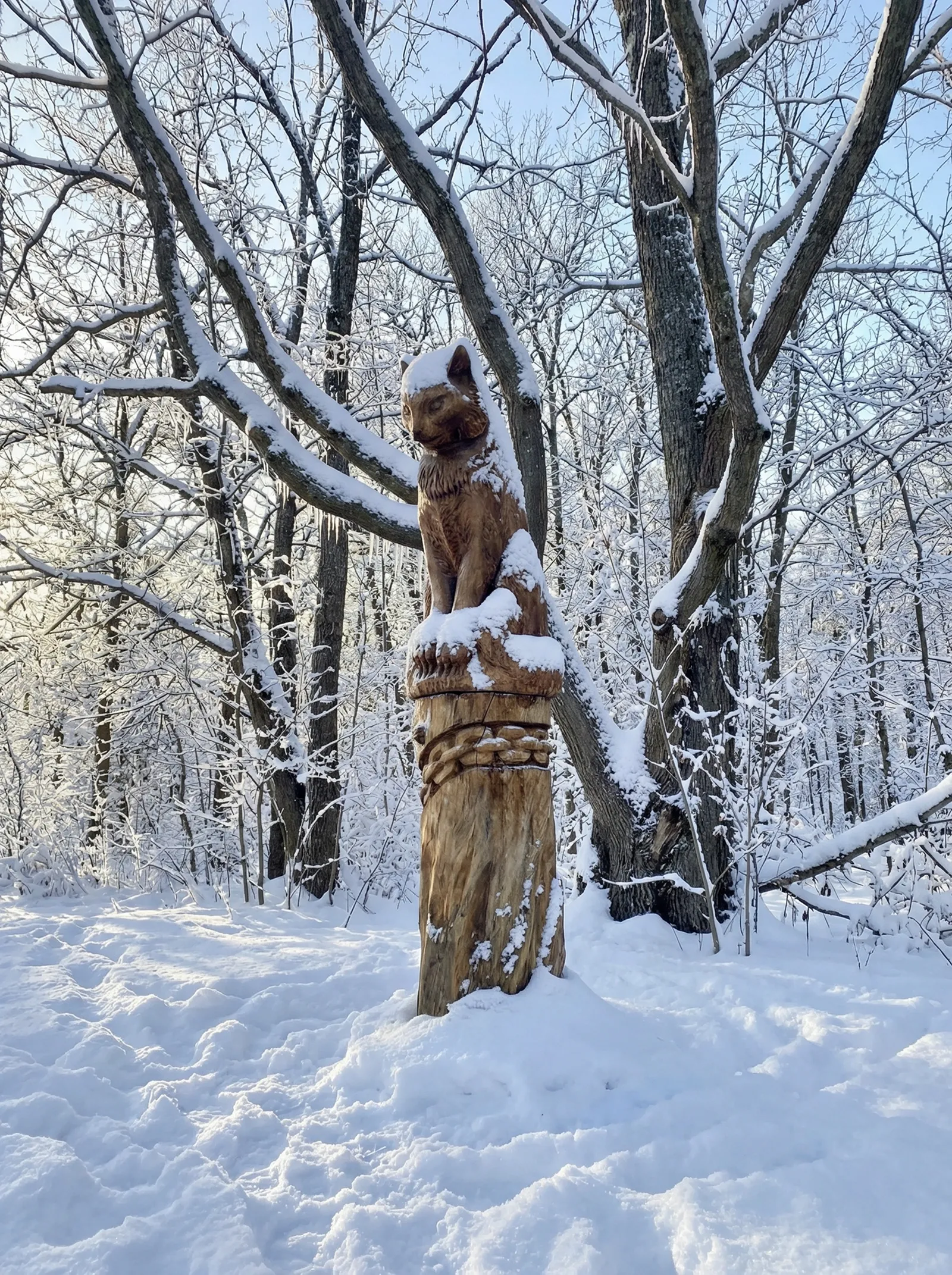 Кот-Баюн на тропе Лукоморье