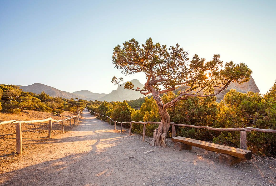 Весеннее крымское солнце (beerlogoff / Shutterstock)