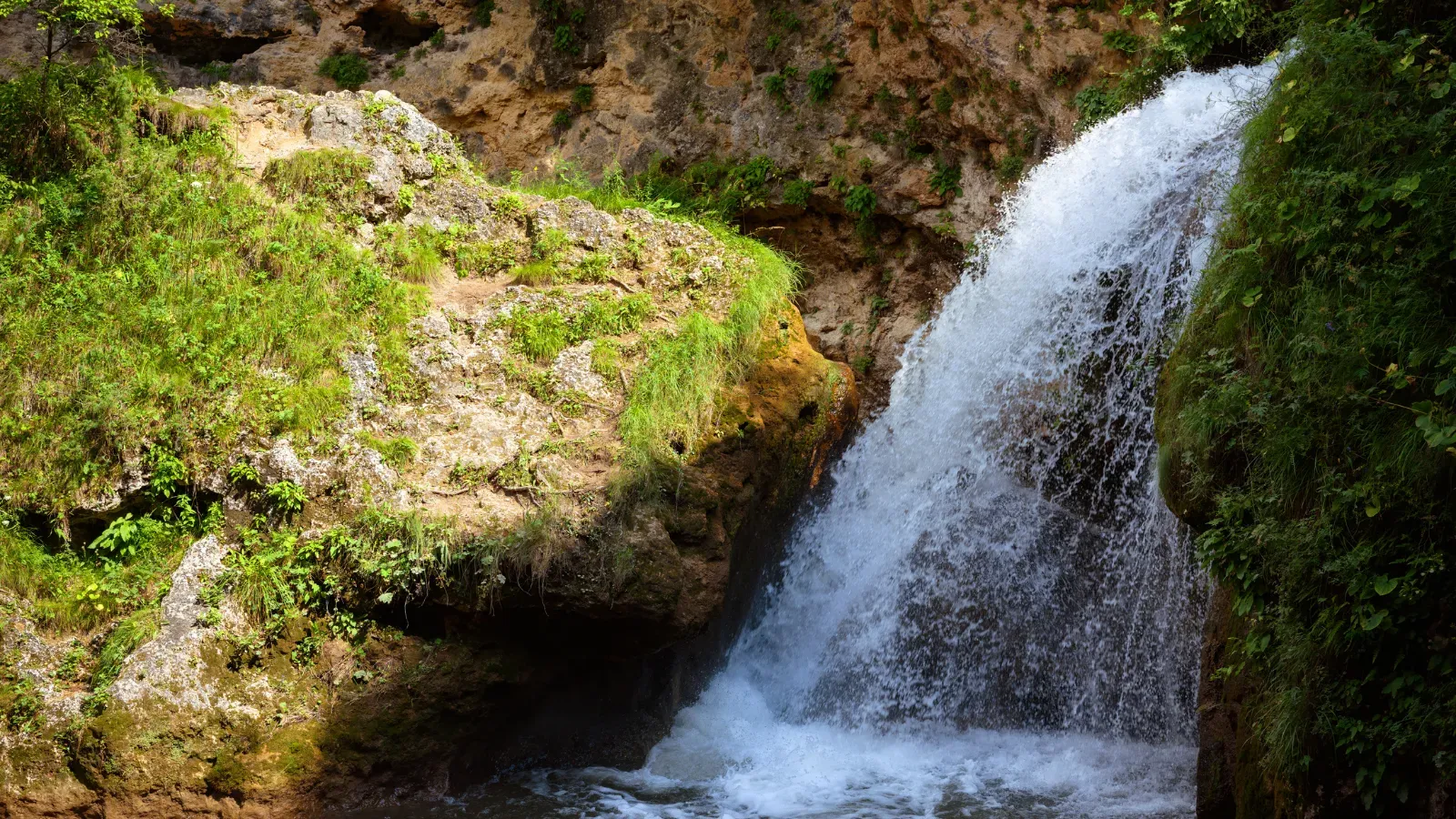 Не водопад, а мёд 😍 scaliger / Canva