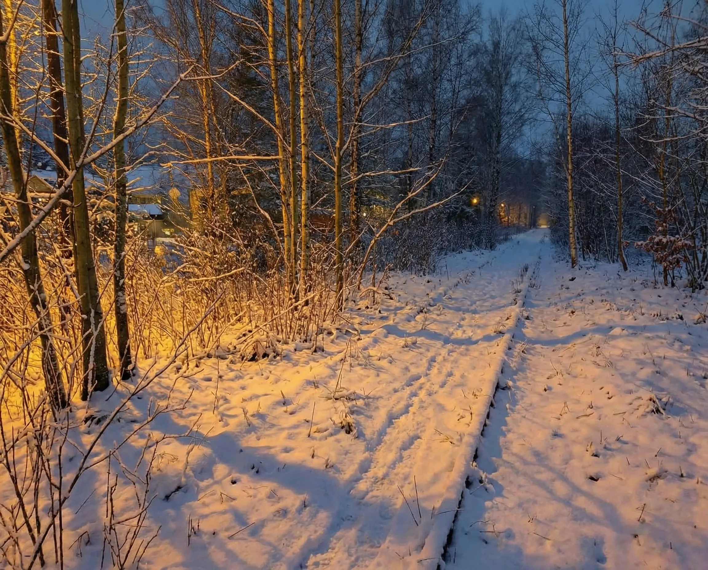 Малая дорога жизни в вечернее время / Фото Даши Тереховой