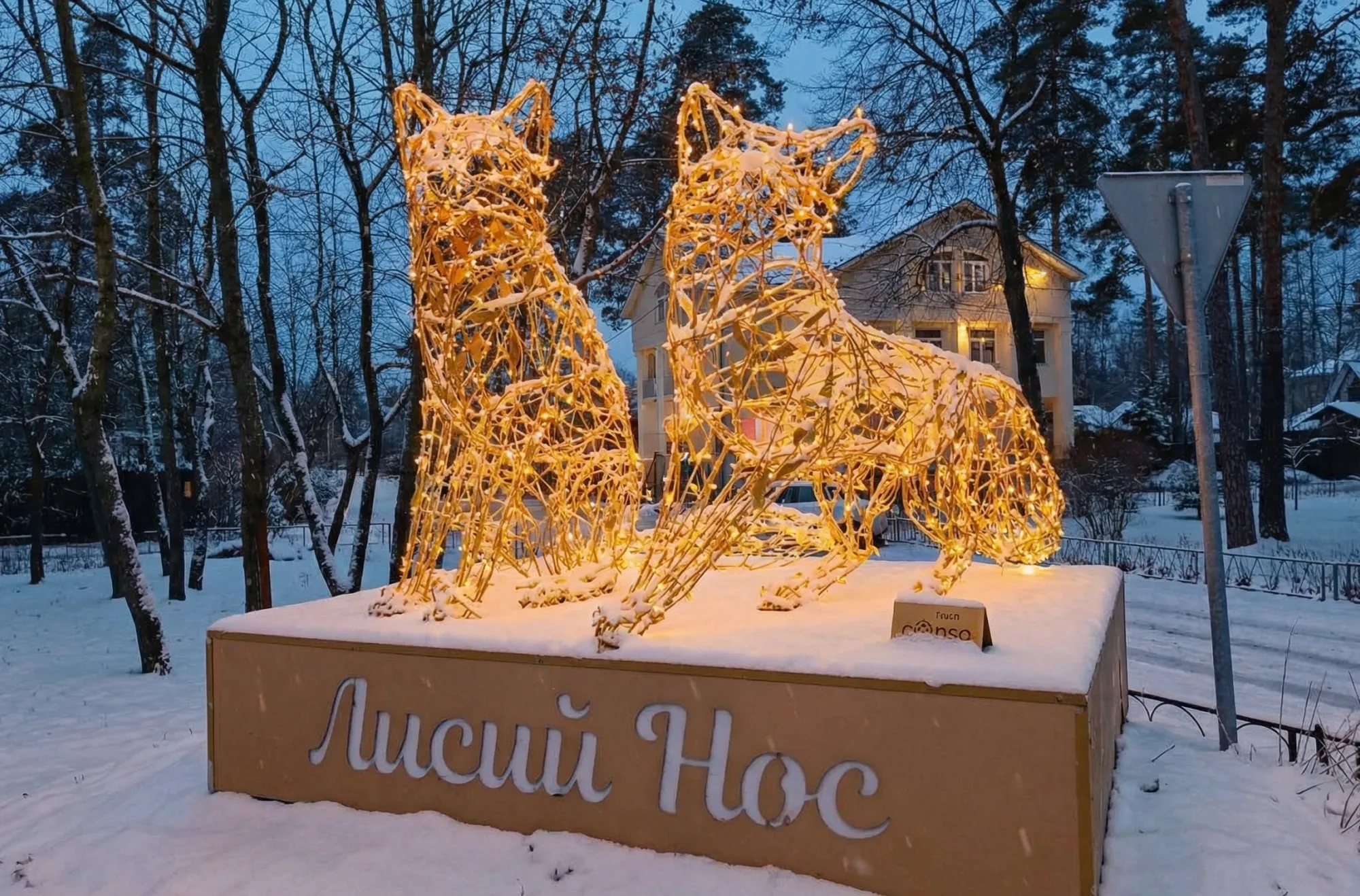 На остановке вас встретят лисы / Фото Даши Тереховой