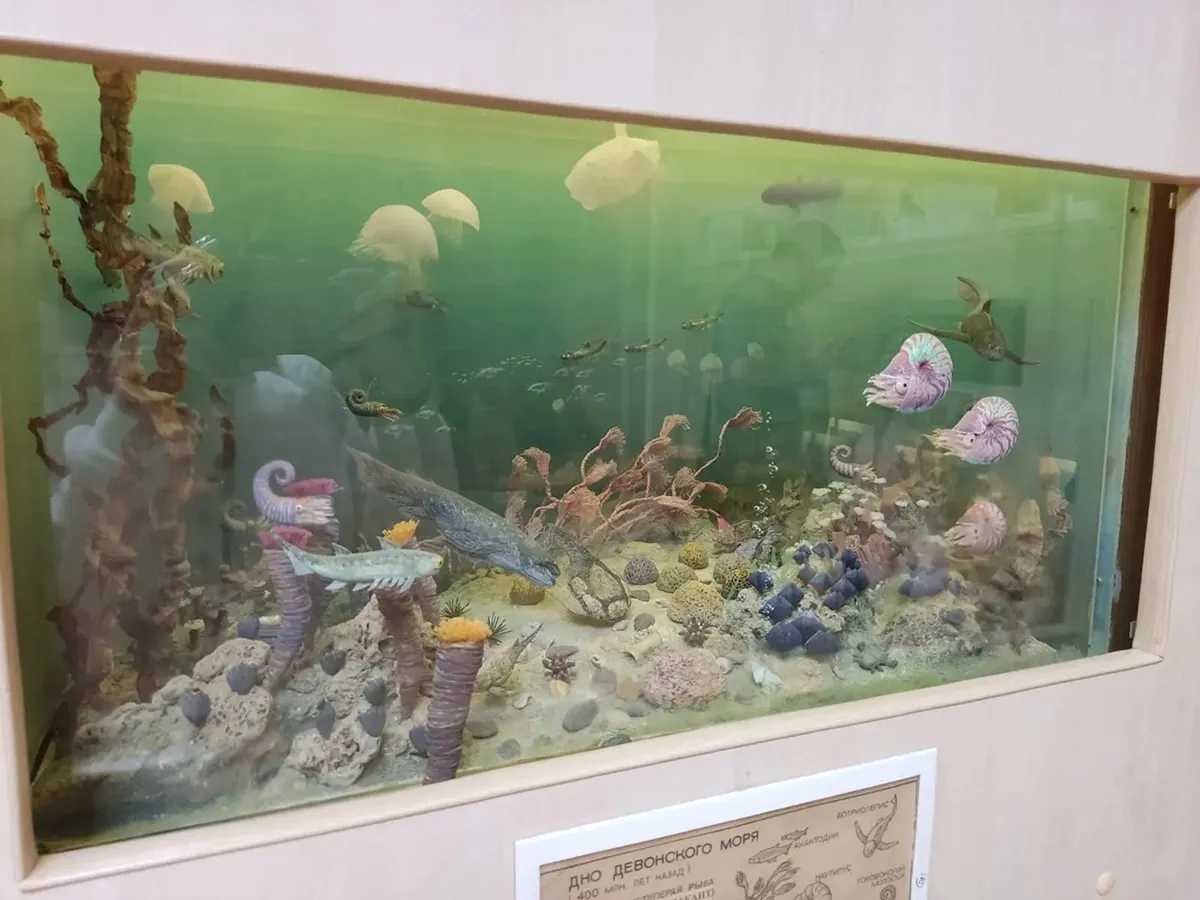 Саратовское море / Фото Даши Тереховой