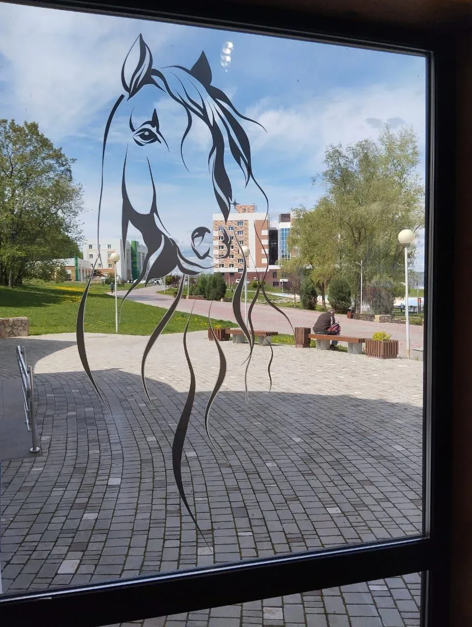 Фото от подписчика Суточно.ру / Елена К.