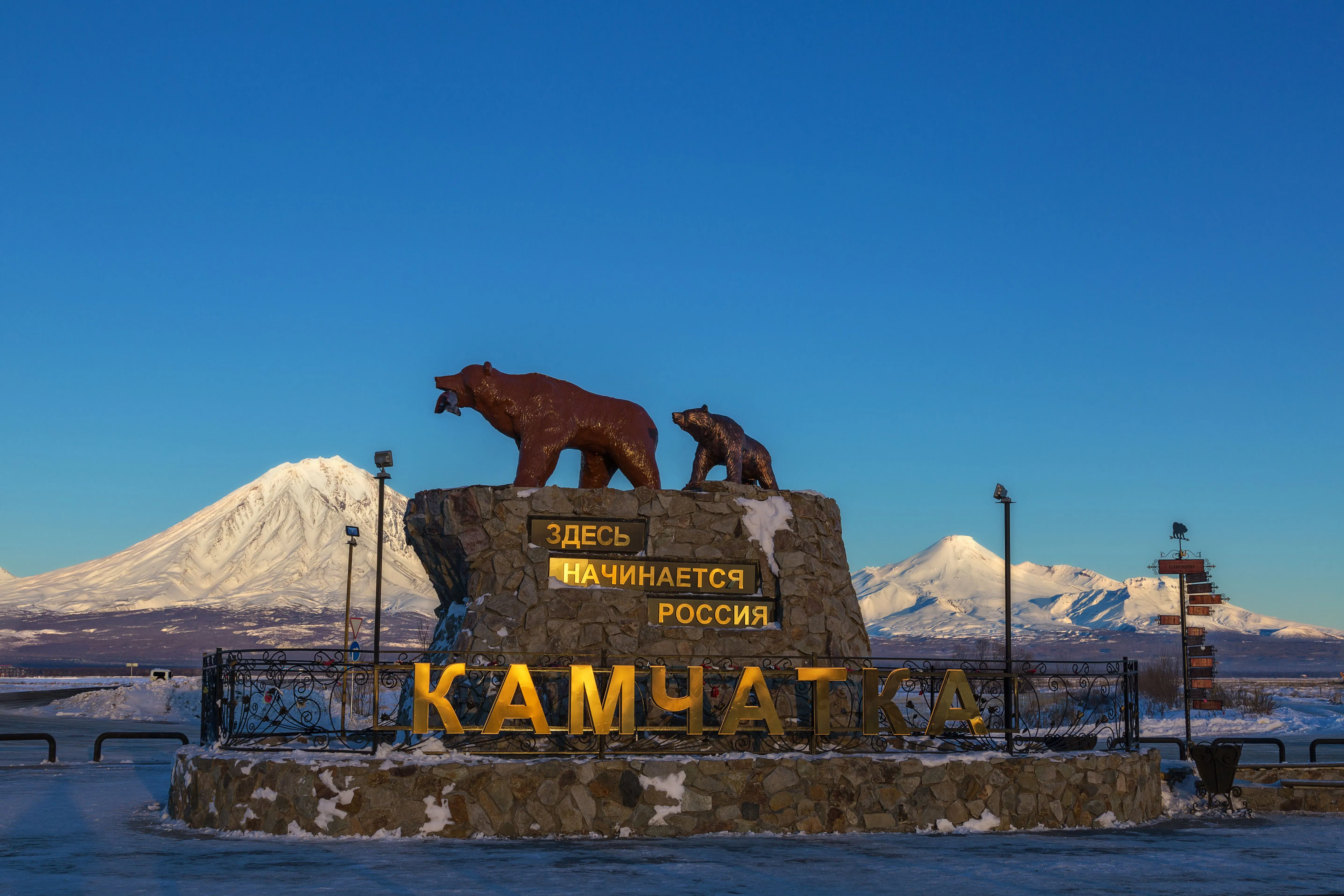 Медведи — настоящий символ Камчатки