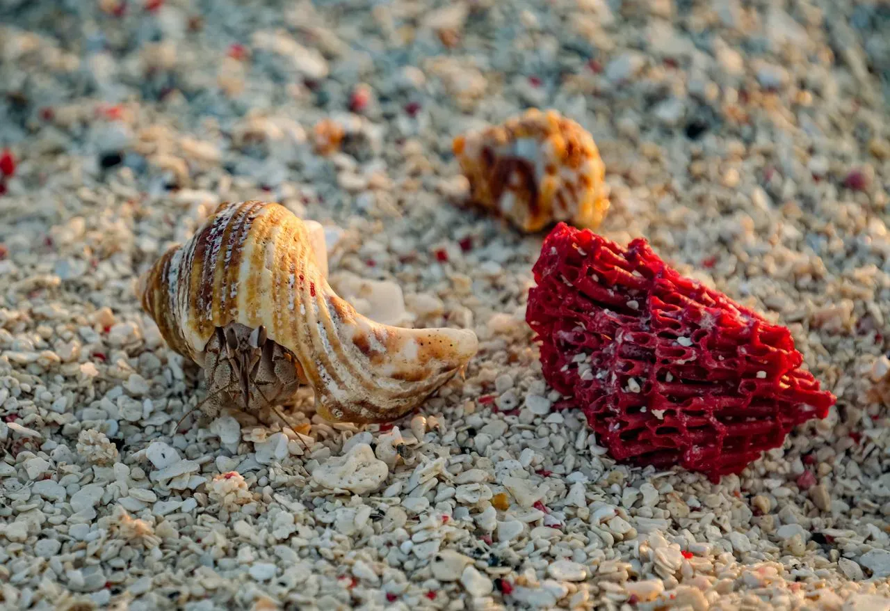Запретная красота (Francesco Ungaro / Pexels)