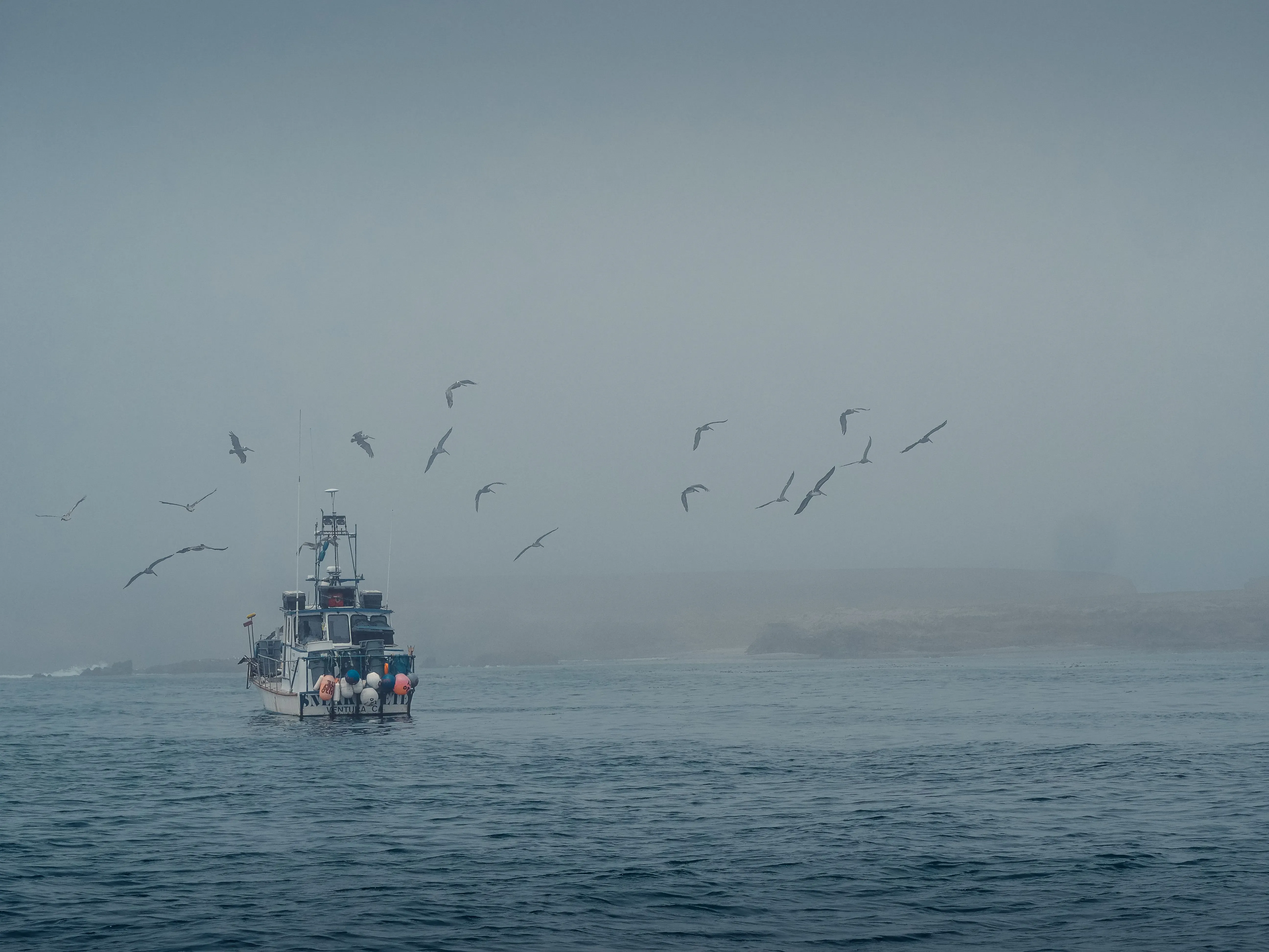 Японское море в туманной дымке