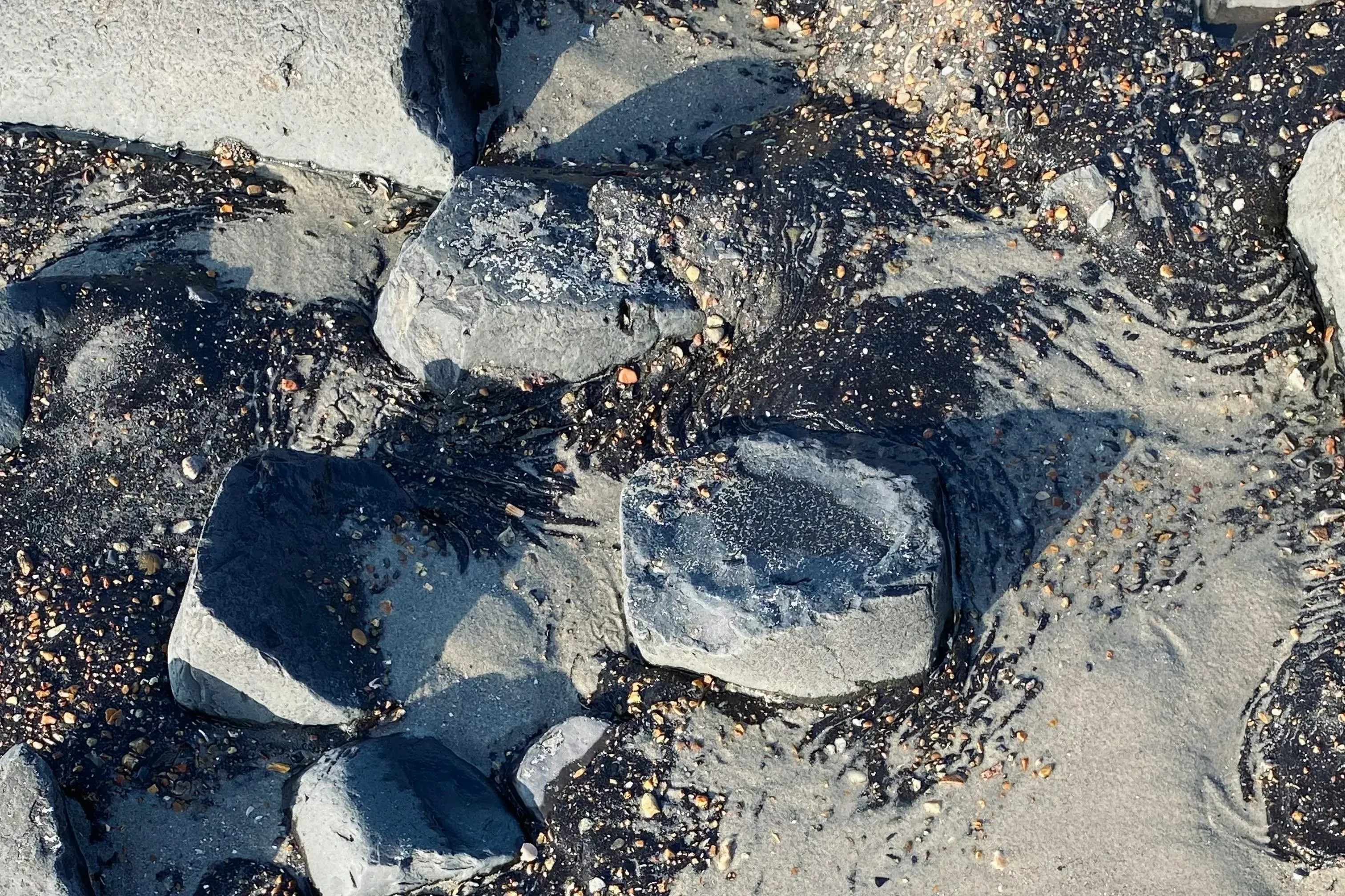 Пляжи были в мазуте