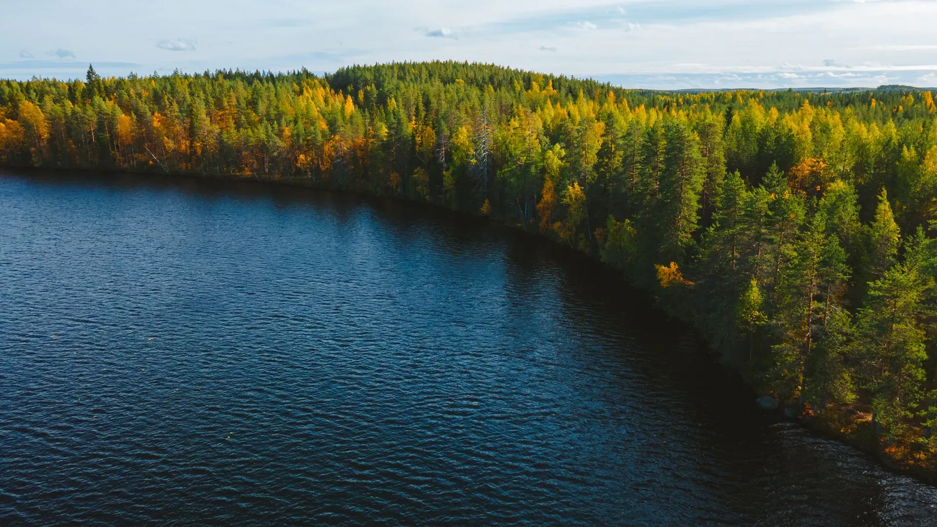 Осенняя Карелия / фото Nikolay Vorobyev / pexels.com
