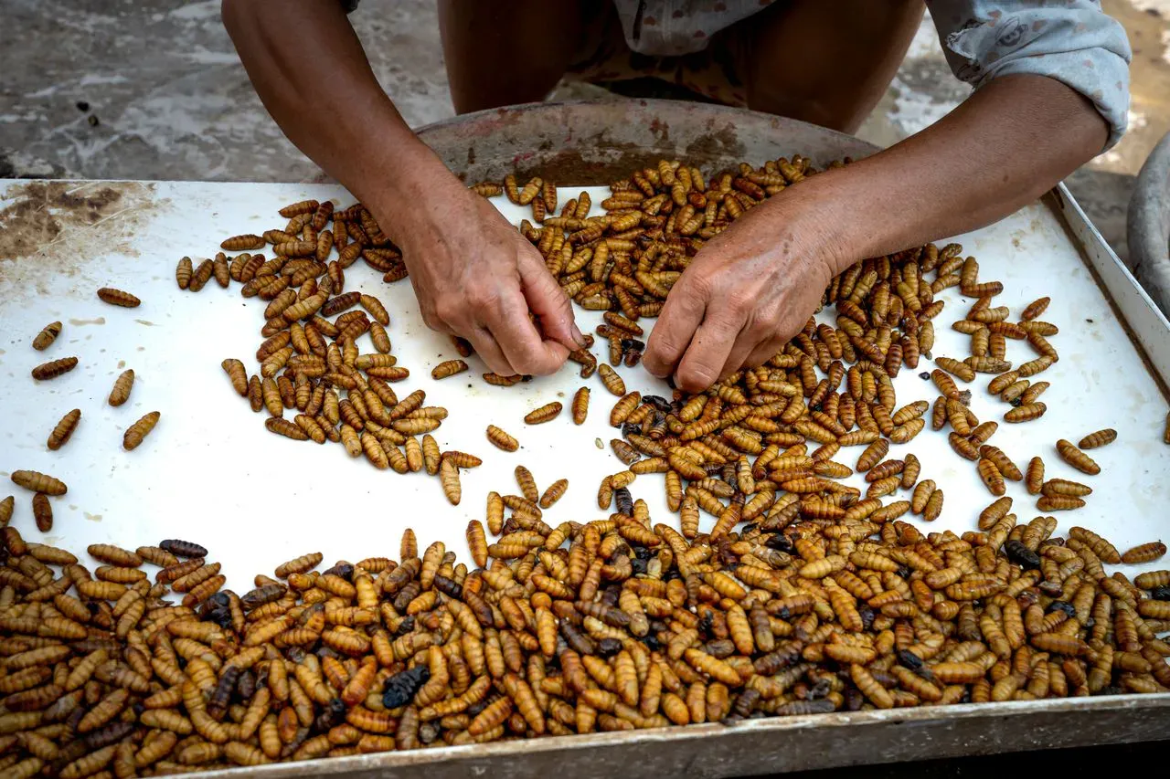 Обычный день на азиатской кухне (Quang Nguyen Vinh / Pexels)