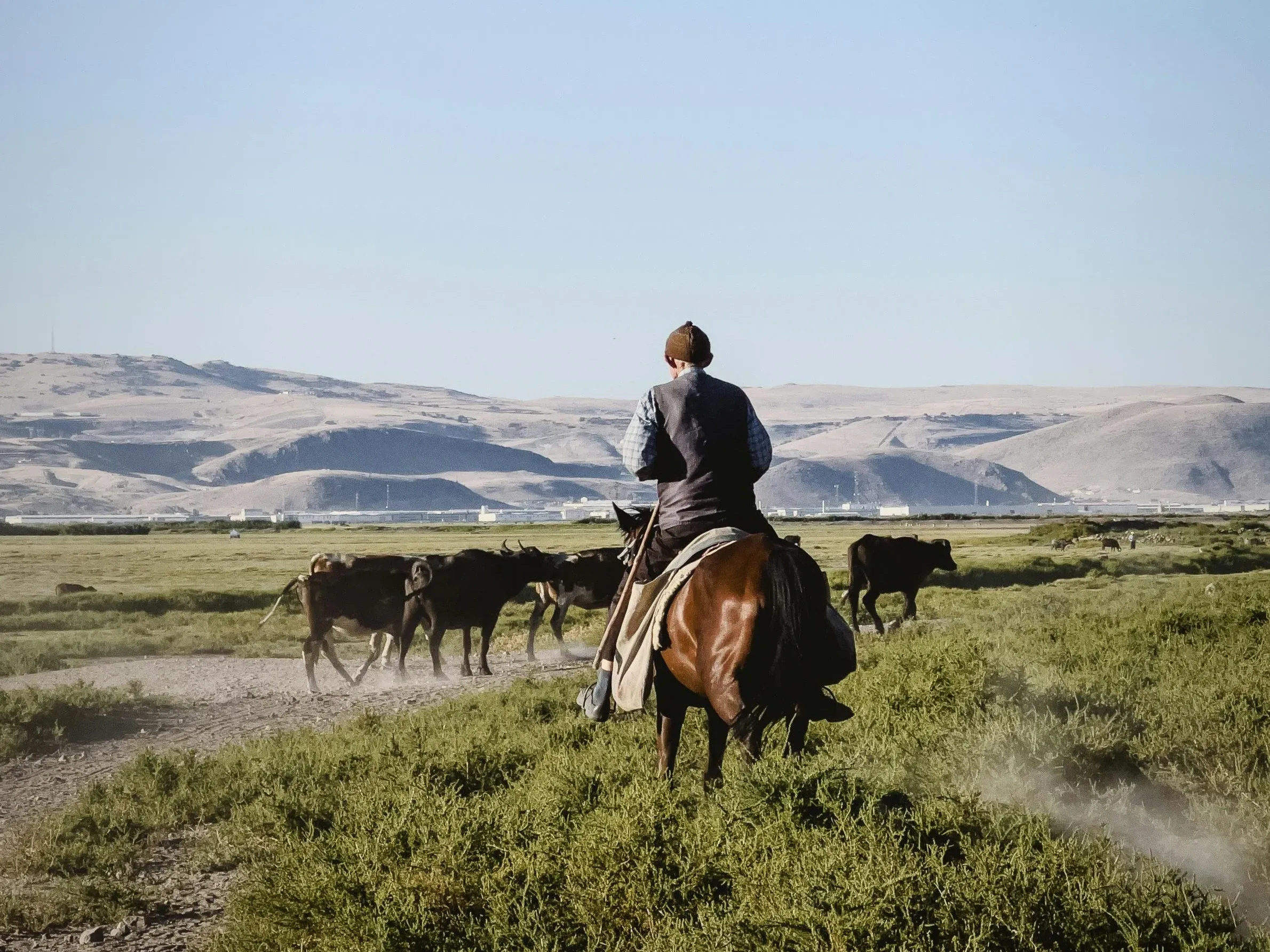 У кочевников, вероятно, есть «ген путешественника»