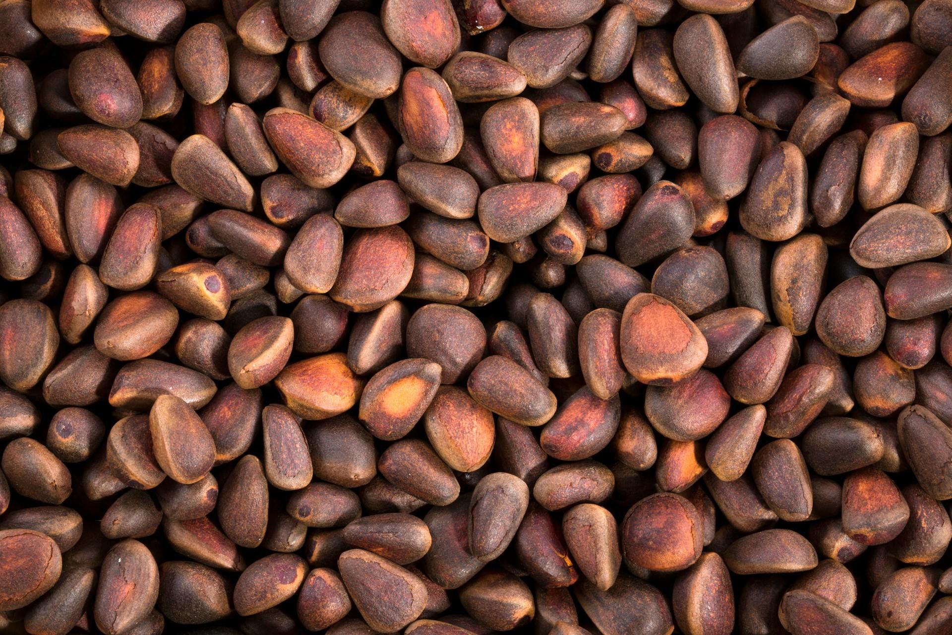 «Кедровые орехи» из шишки сосны сибирской Valentin Ivantsov / pexels