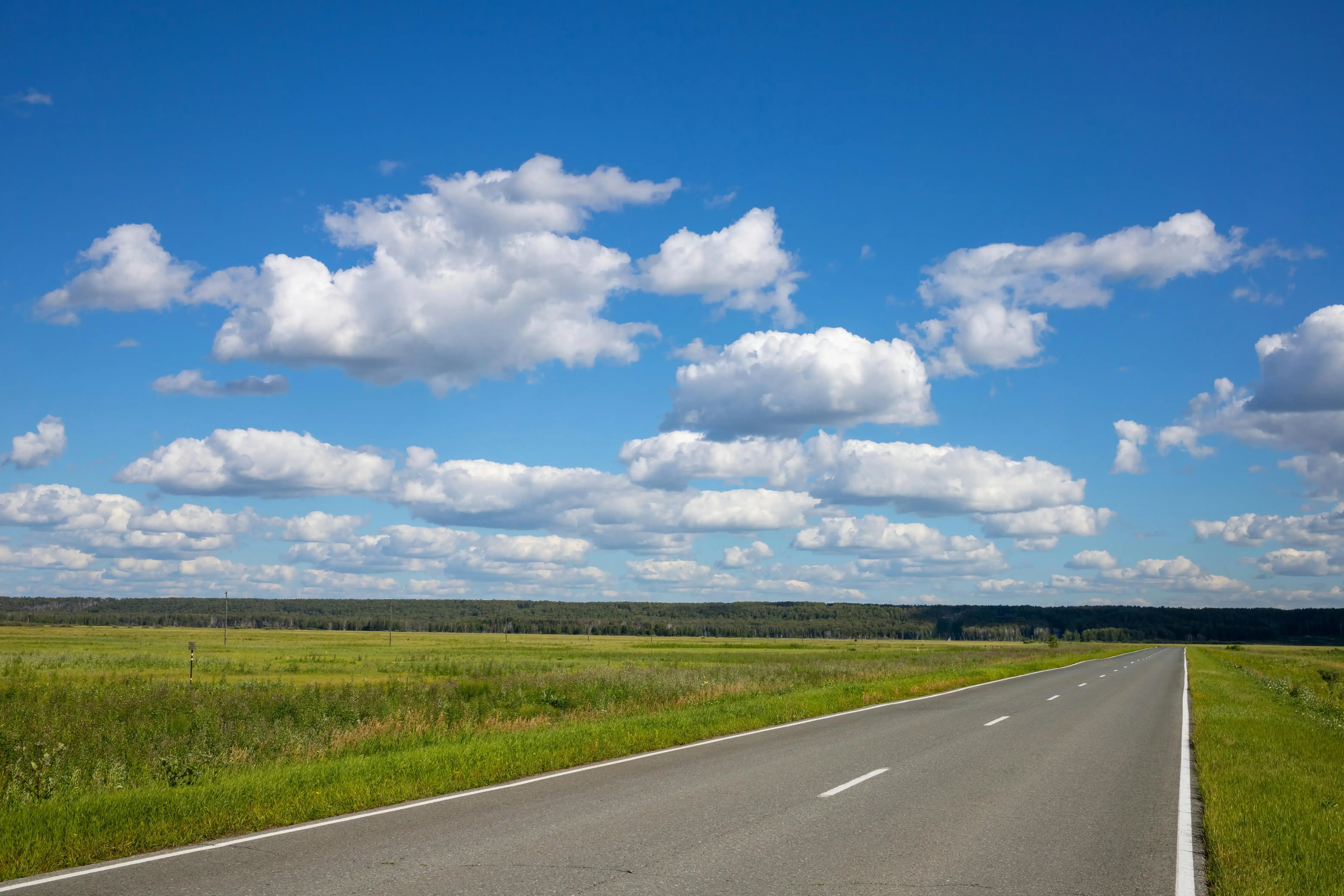 Дорога зовёт!