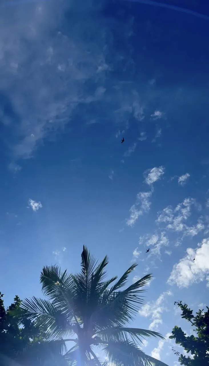 Когда тюленишь и повезло с погодой