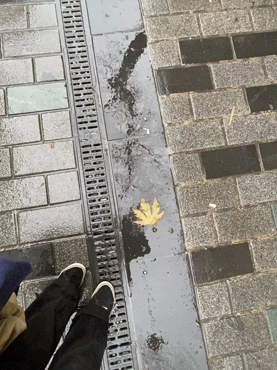 Вышла и сфоткала листочек