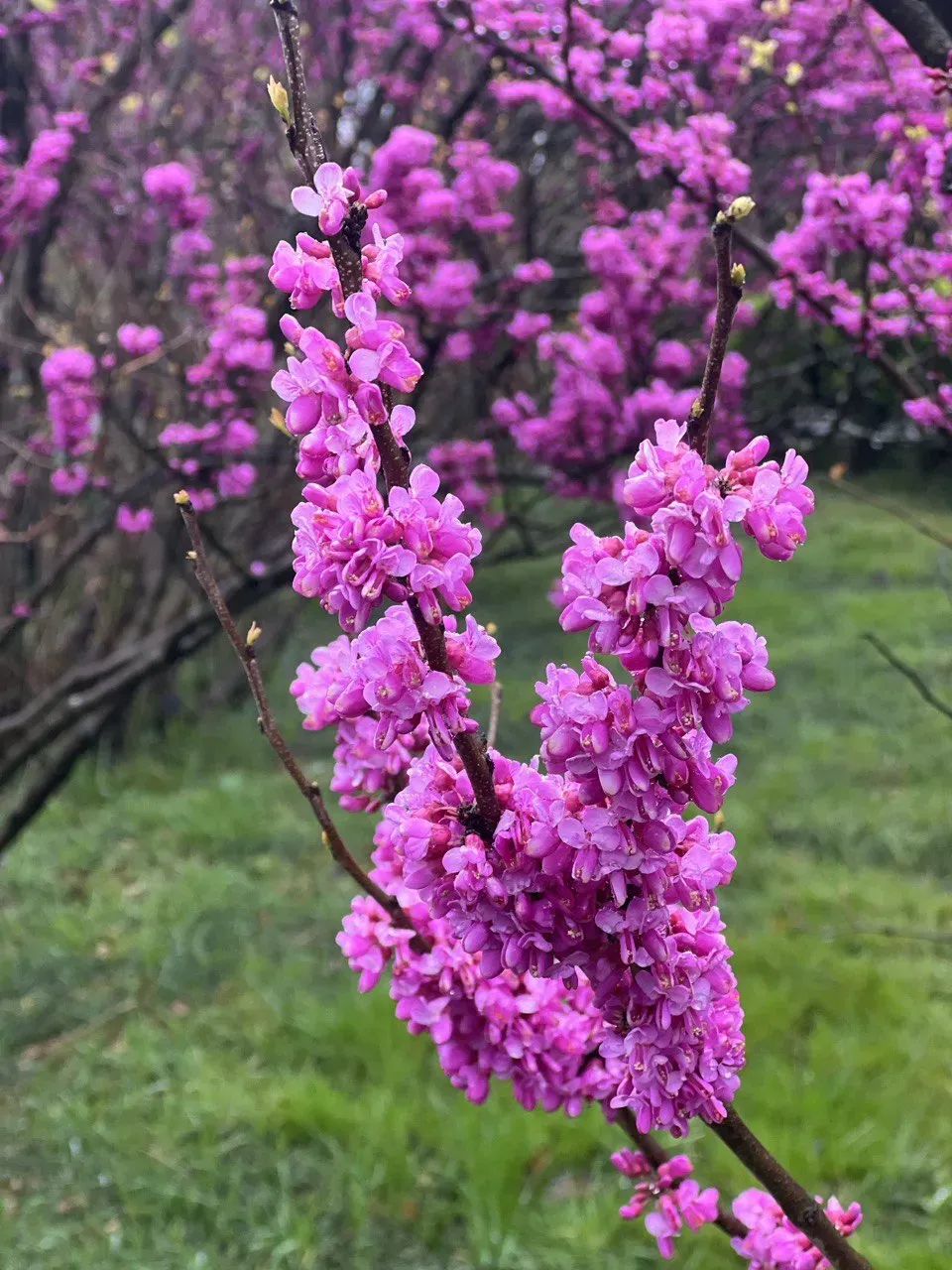 Фото: Сабина Шахмаметова