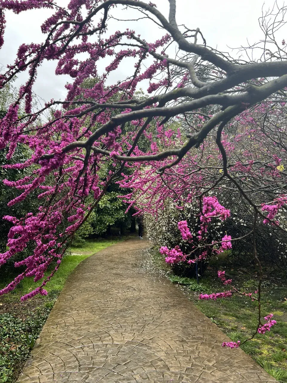 Фото: Сабина Шахмаметова