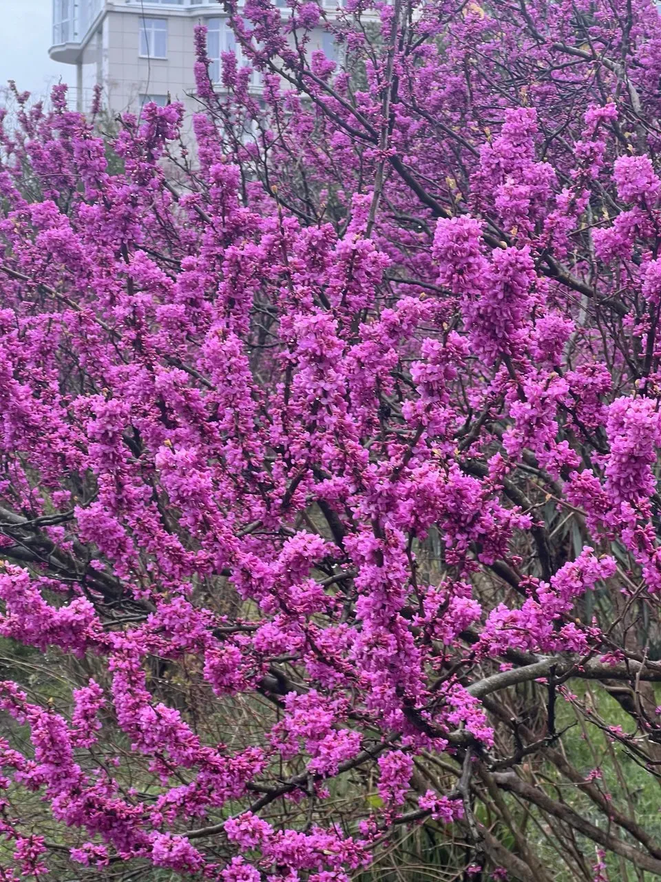 Фото: Сабина Шахмаметова