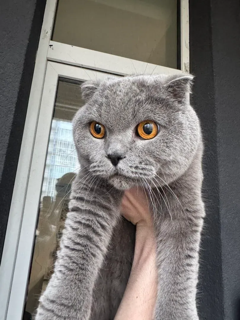 А потом находишь добрые руки! Фото: Алексей Банкин
