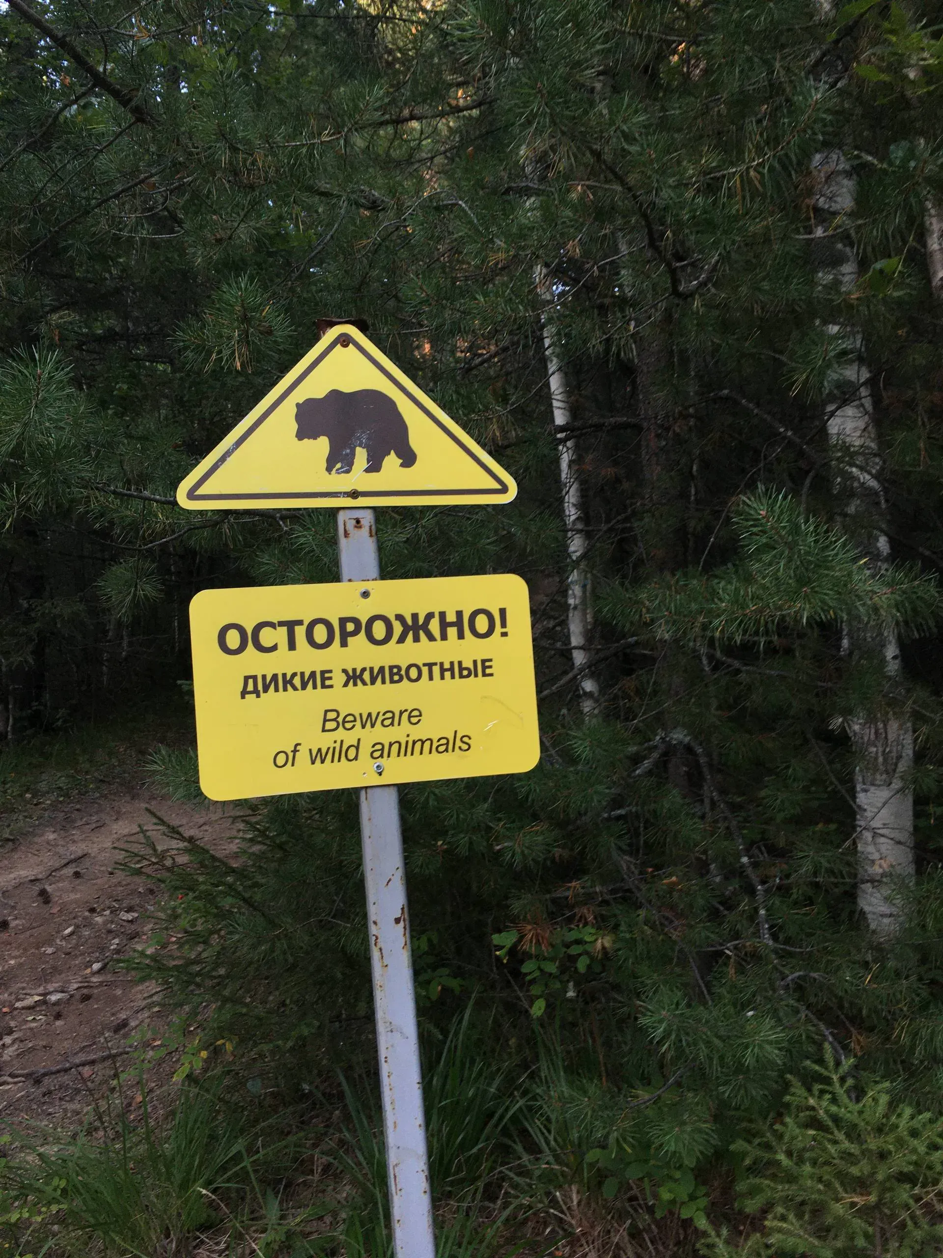 Главное — осторожность