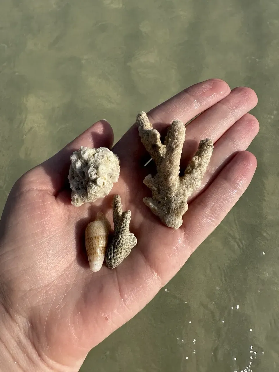 На пляже Ко Лан