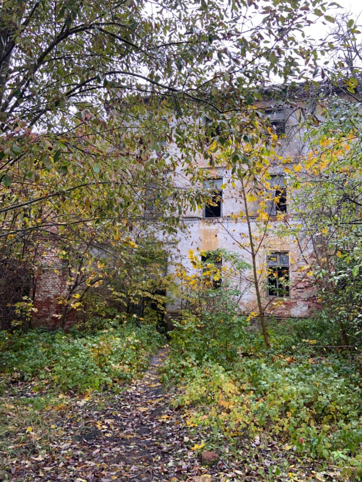 Вид на «Алленберг». Фото: Анастасия Пелевина