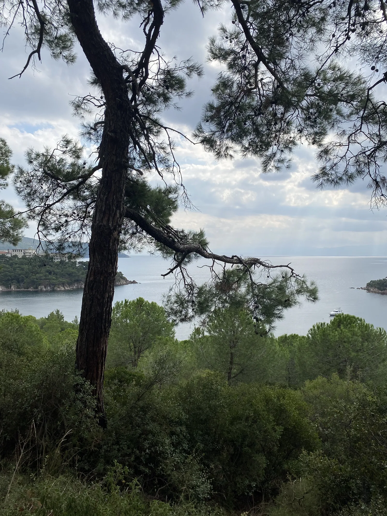 Вид с острова / фото Ян Кулаков