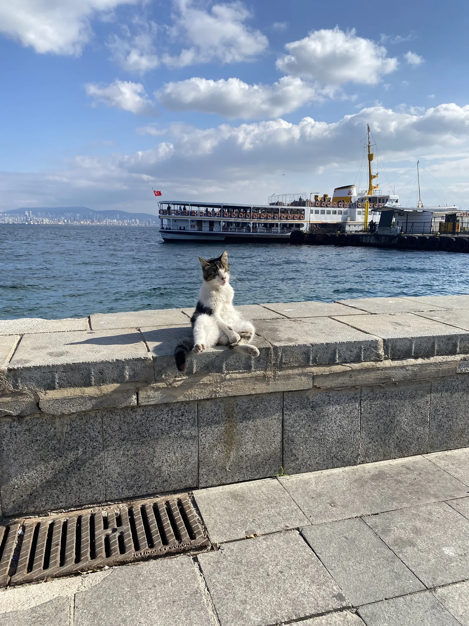 Котька на причале / фото Ян Кулаков, Суточно.ру