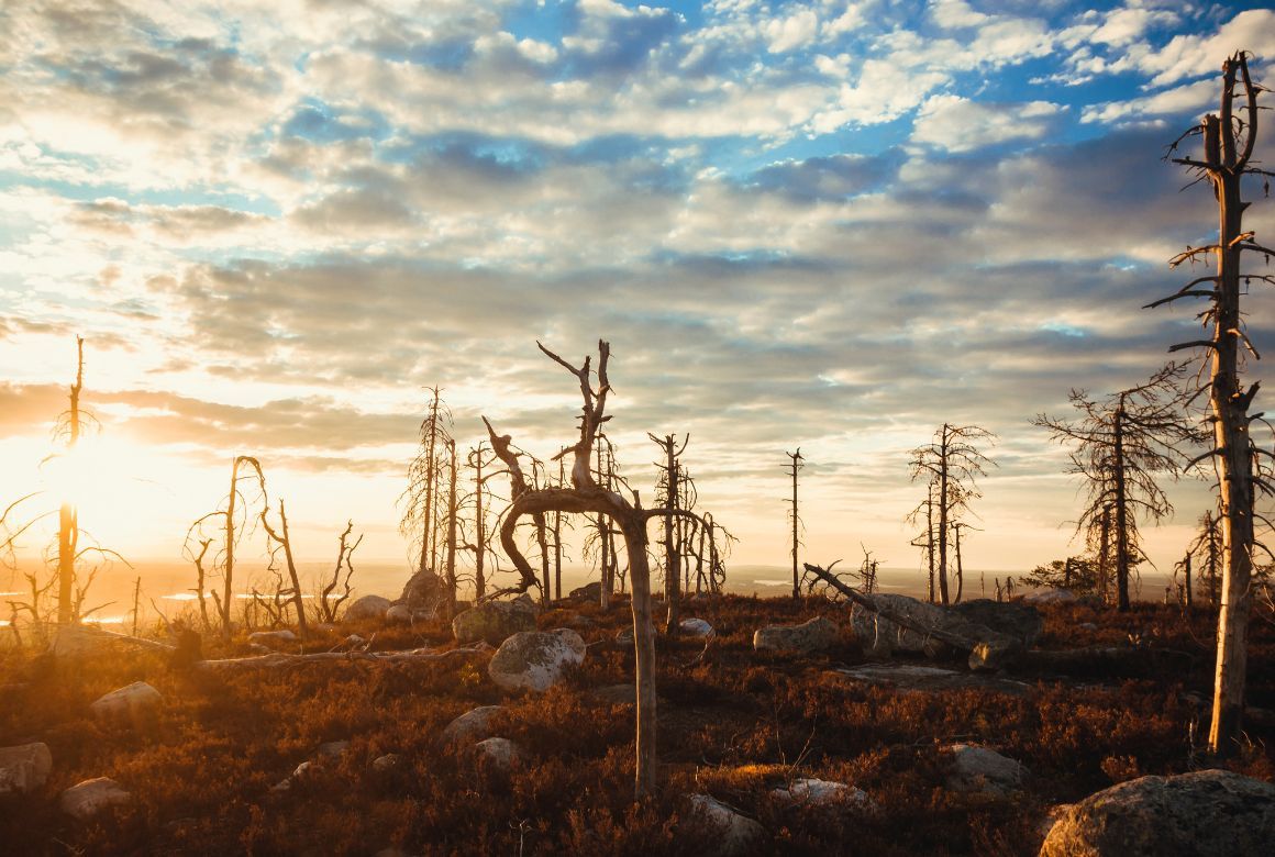 На вершине Воттоварры
