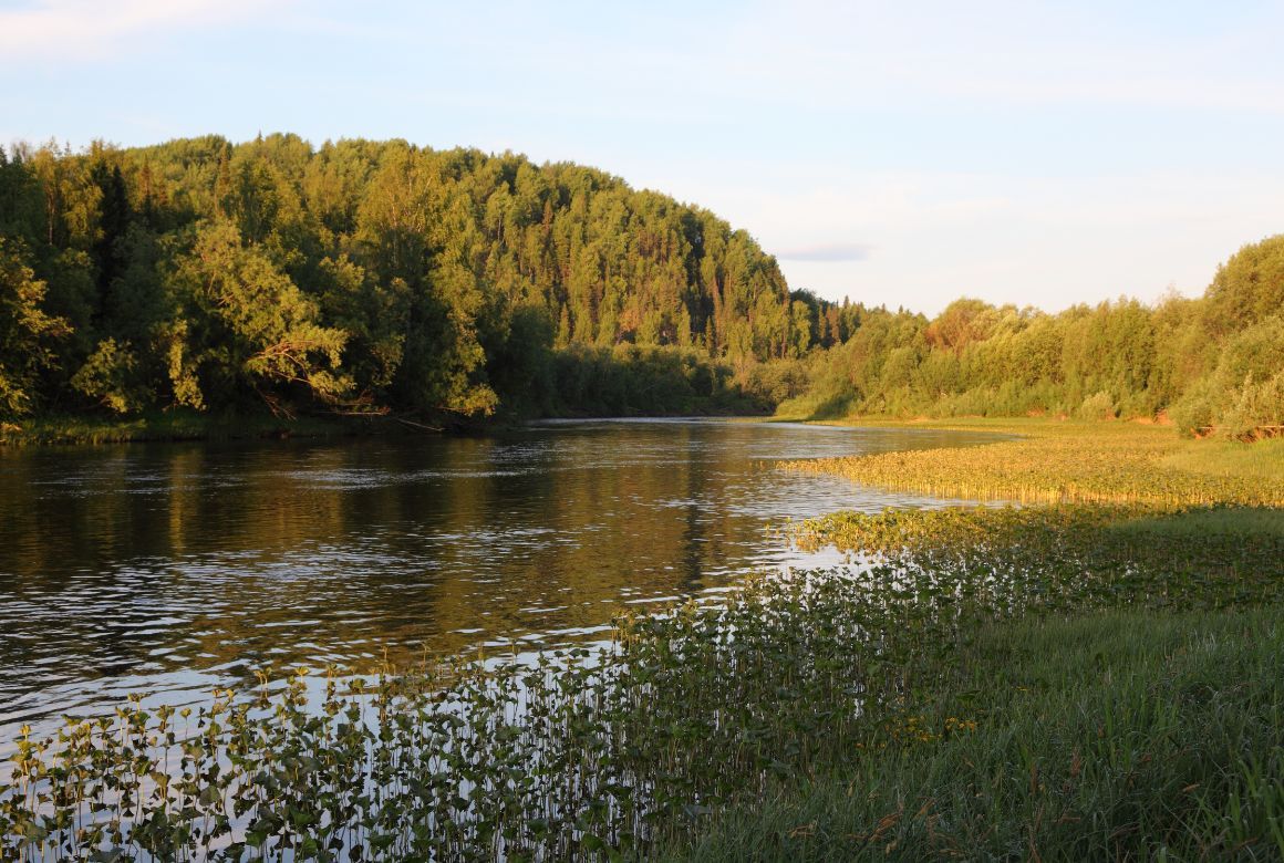 Печоро-Илычский заповедник