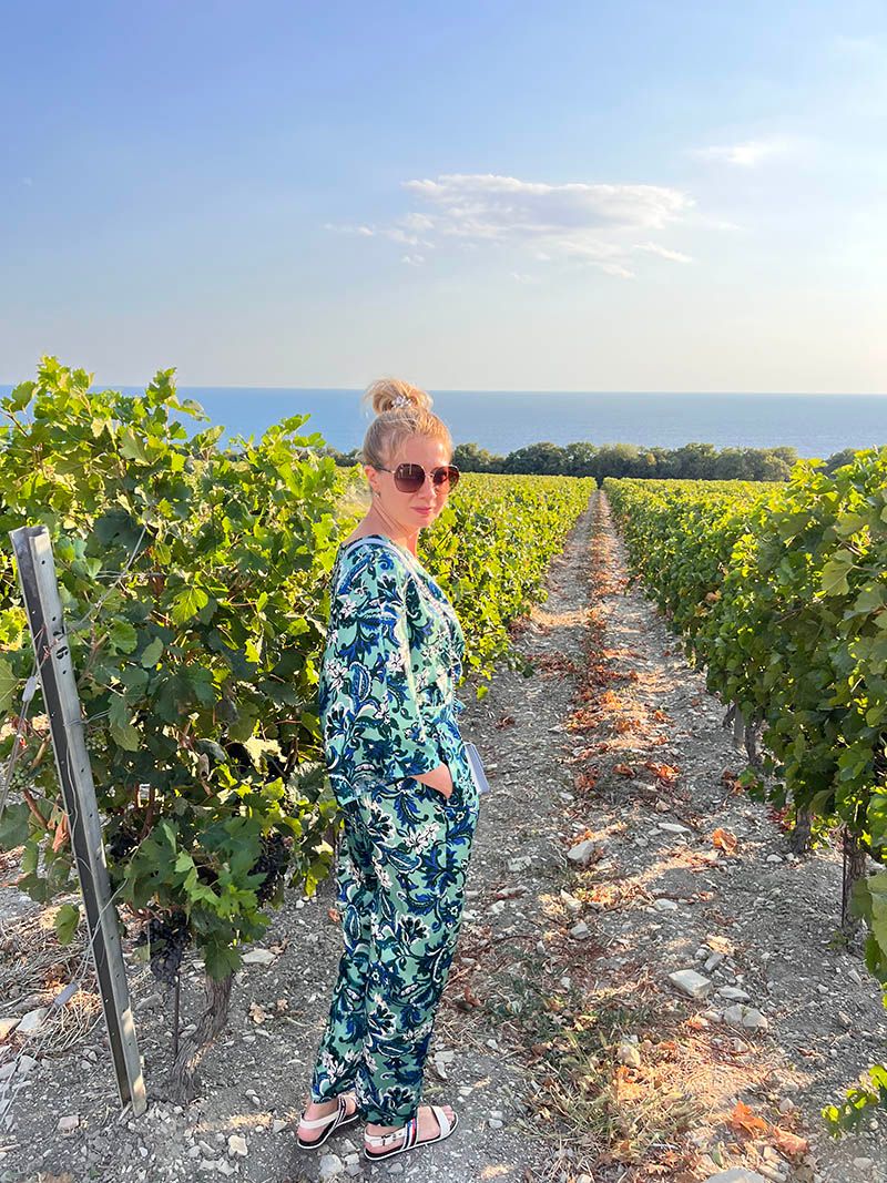 Виноградники и море