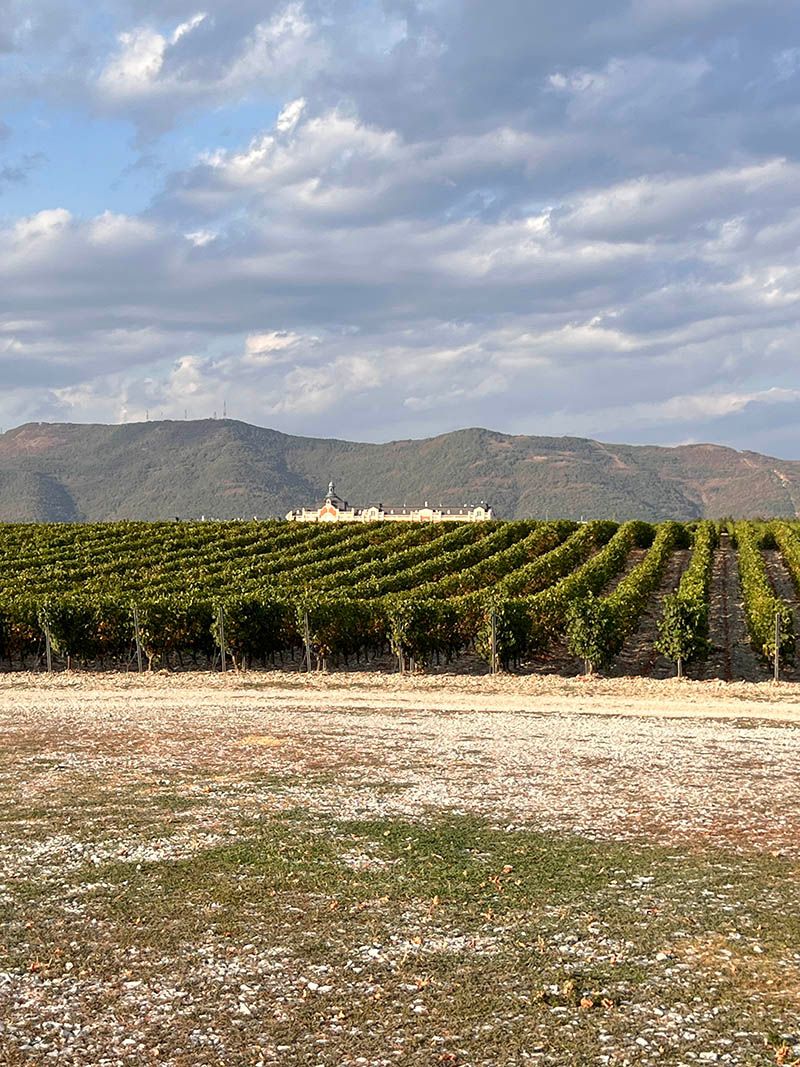 Виноградники и замок