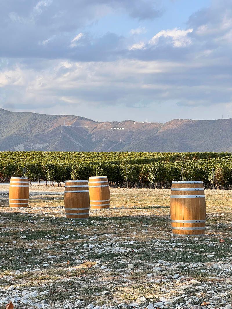 Виноградники и горы (все 3 фото — Владимир Сляднев)