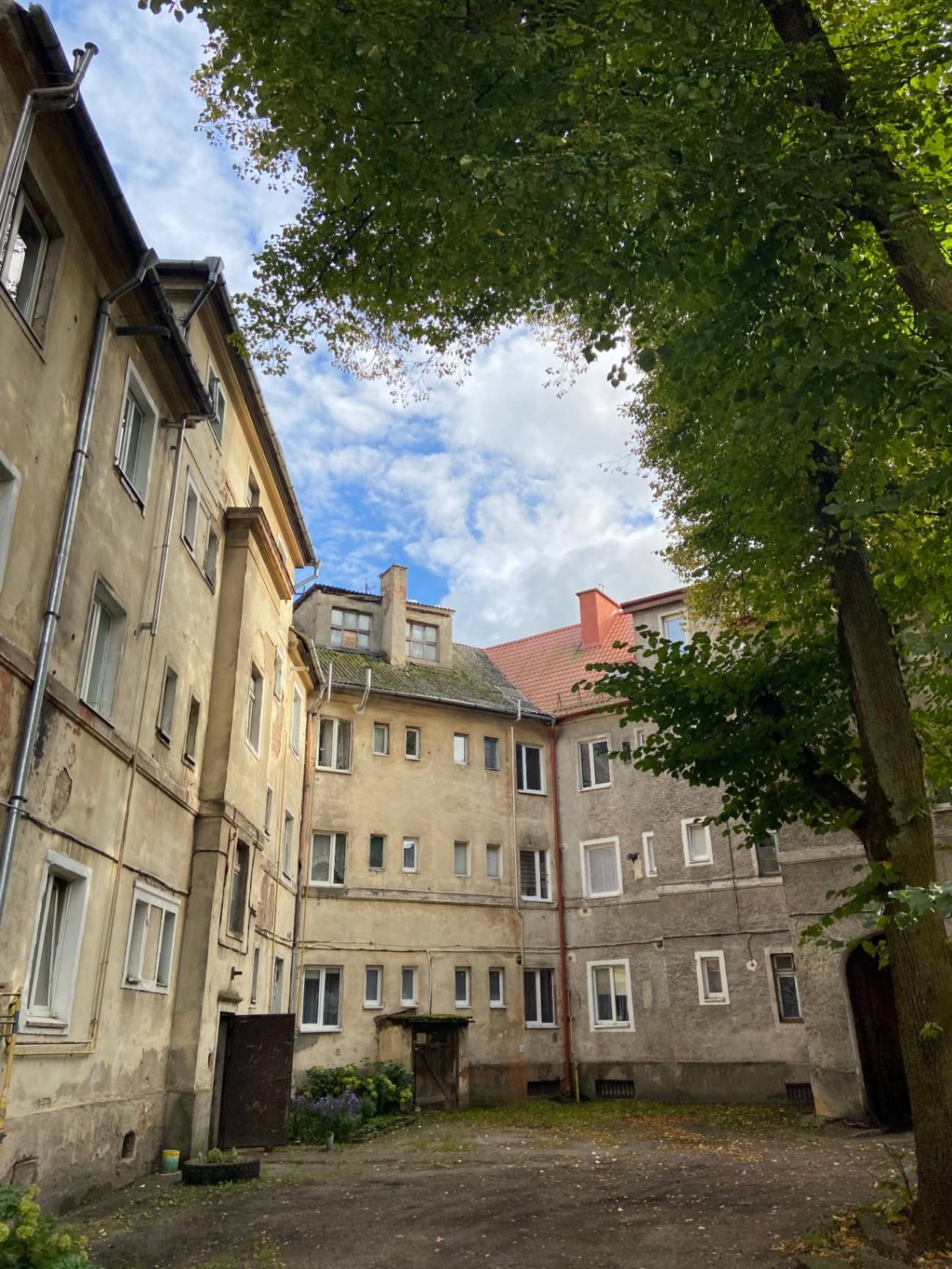 Оин из городских дворов. Фото: Анастасия Пелевина