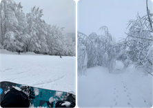 Фото: Наталья Васенева