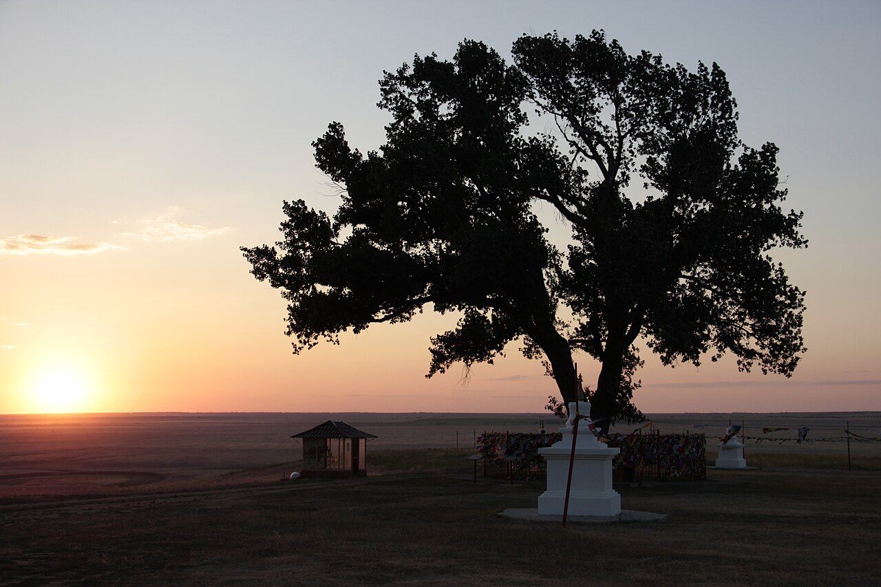 Одинокий тополь с каскадом родников (Альмина Мария / Wikimedia)