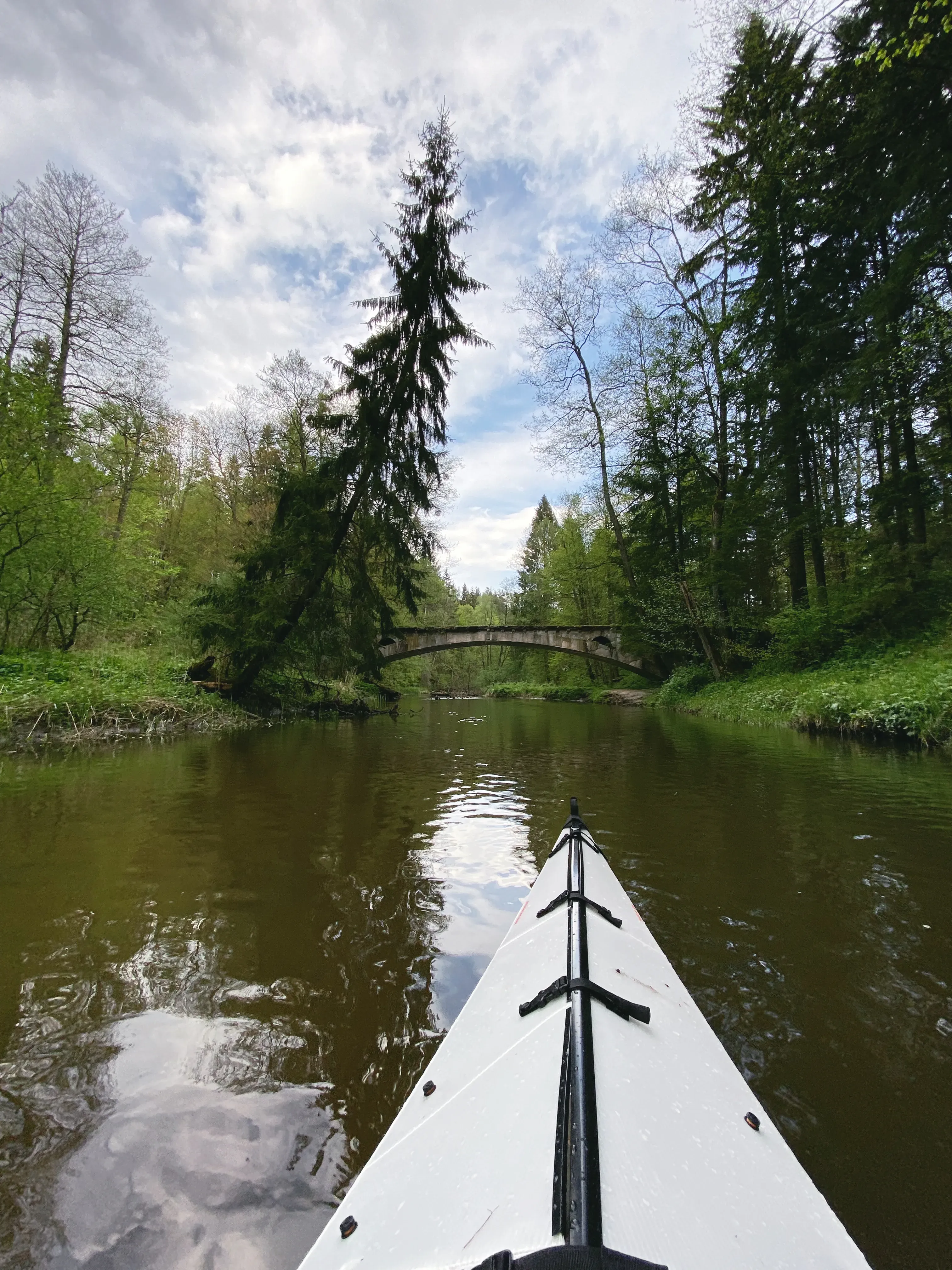В Калининградской области / фото Mishka Travel
