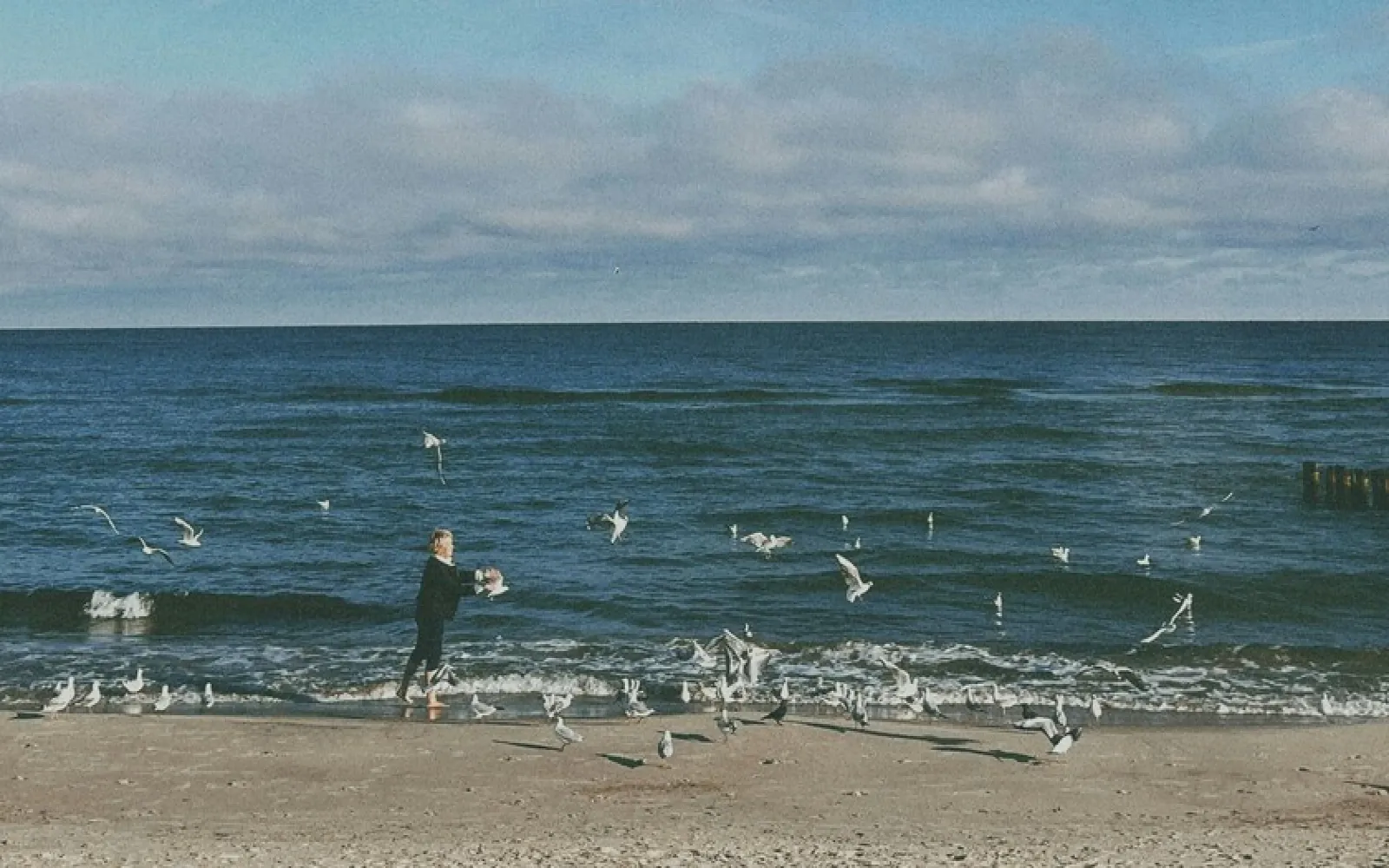 Зеленоградск: что посмотреть в городе котов и морского бриза